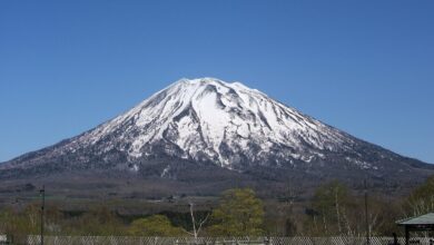 Imagem escura e de baixo contraste evocando a paisagem de Hokkaido no outono