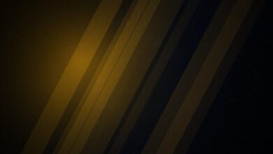 Arte de capa sobre o lançamento de Mewgenics em consoles
